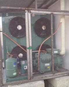 阿壩州秏牛肉冷藏庫